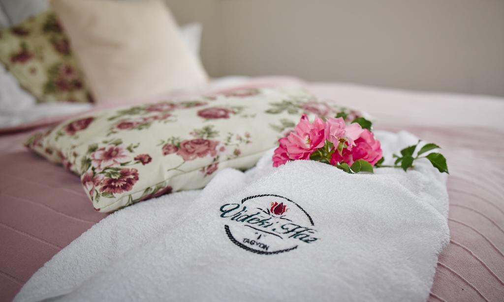 Videki Haz Guest House Tagyon Luaran gambar