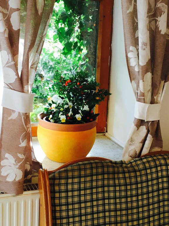 Videki Haz Guest House Tagyon Luaran gambar